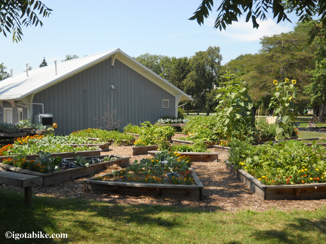 Nice community garden behind the historic Oberlin train station along The North Coast Inland Trail.