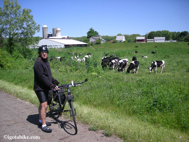 Here is Guy hanging out with some cows along the The Richland B & O Trail back in 2008 when he was still riding his Raleigh Route 66 flat bar road bike. I love this picture because it looks like there is no fence! Just a Guy, his bike, and some cows! Moo!