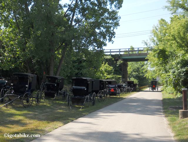 Amish buggies on The Holmes County Trail on Auction Day