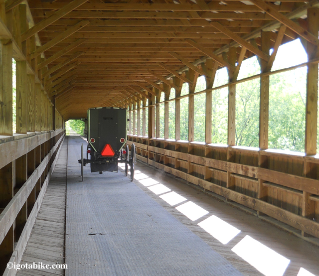 Amish Buggy on The Bridge of Dreams